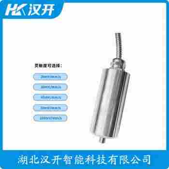 振動傳感器 DWQZ8108-01-A110-B30-C01-D02-E50 WVD