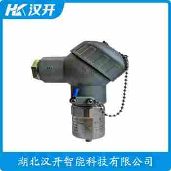 振動(dòng)傳感器 8125-01-A99-B03-C02-D01-E10 WVD