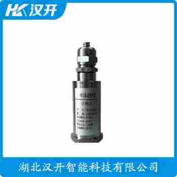 振動傳感器 8125-01-A99-B03-C02-D01-E10參數(shù)規(guī)格