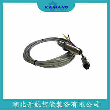 CS-1-G-065-03-01 转速传感器