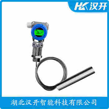 LMP307-451-6000-1-1-1-1-3-1-010-000 分體投入式液位變送器 漢開