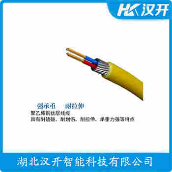 MPM460WK 分體式靜壓液位傳感器 漢開