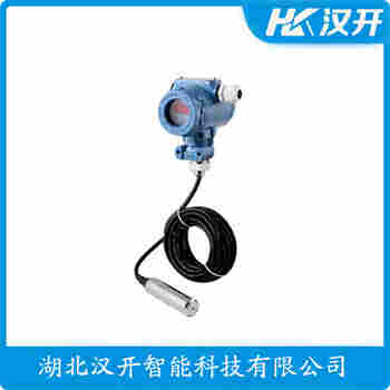 AY120A-B-L1-GP-A-1-A-0-10 分體投入式液位變送器 漢開