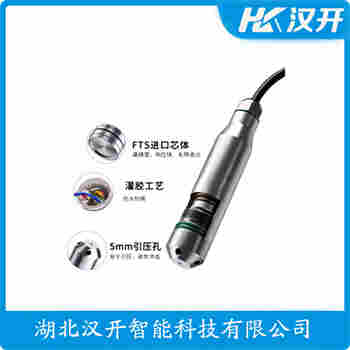 YTJ-21A 分體式靜壓液位傳感器 漢開(kāi)