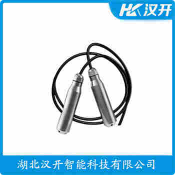 投入式液位變送器 TD-BP800工作原理