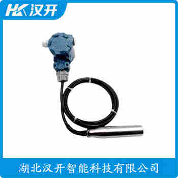 分體投入式液位變送器 DB101-G1TE205Z工作原理