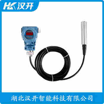 投入式液位變送器 ZTW718N07CB450L參數(shù)規(guī)格