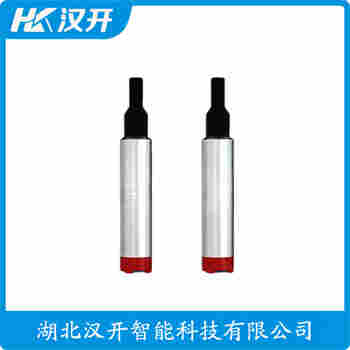 FMX167 分體投入式液位變送器 漢開