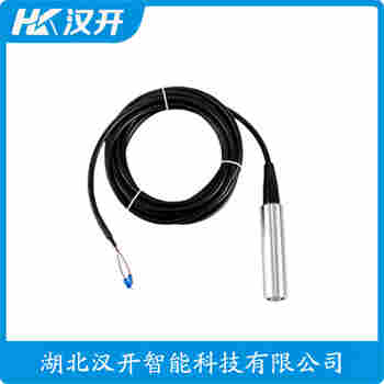 YWP28 投入式液位變送器 漢開