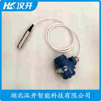 投入式液位變送器 YWP28參數(shù)規(guī)格