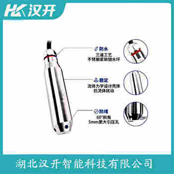 ZWP-T83 投入式静压液位传感器