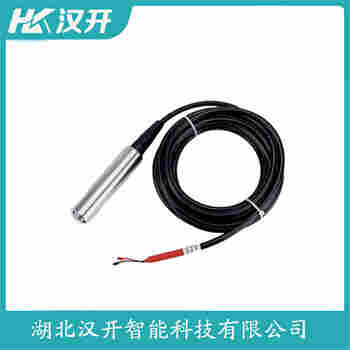 PT601 投入式液位变送器