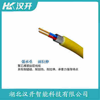 分體投入式液位變送器 XTX-PL9ACG工作原理