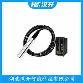 LMP307-451-6000-1-1-1-1-3-1-010-000 分體投入式液位變送器 漢開