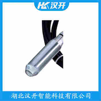 投入式液位變送器 7MF1570維護(hù)建議