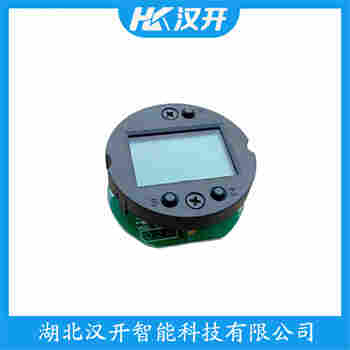 WNK4S-TAALA1H31JX4A 分体式静压液位传感器