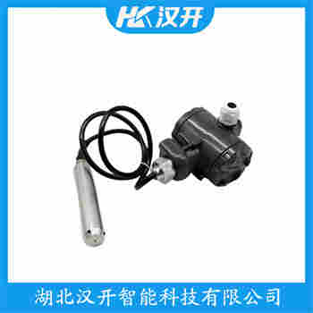 分體投入式液位變送器 BYP300參數(shù)規(guī)格