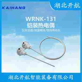 熱電偶 WRNB-140參數(shù)規(guī)格