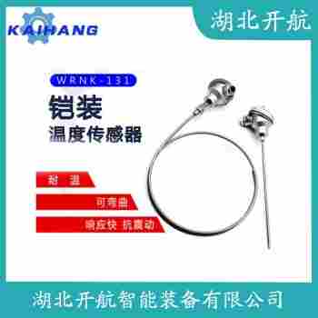 鉑銠熱電偶 WZPK-24L-B