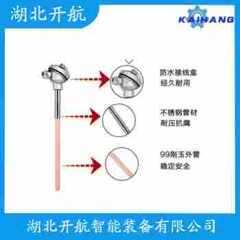 鉑銠熱電偶 WRNM201功能特點(diǎn)