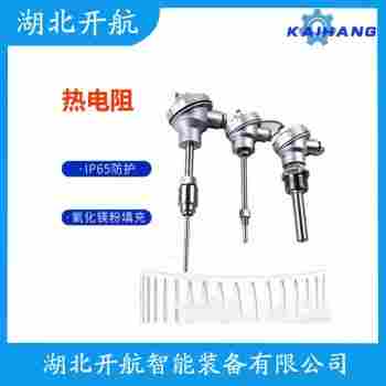 鉑銠熱電阻 WZP2-221功能特點