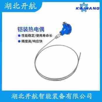 鉑銠熱電阻 WZP2-269開航