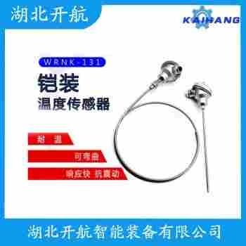 鉑銠熱電阻 WZPT2-31開航