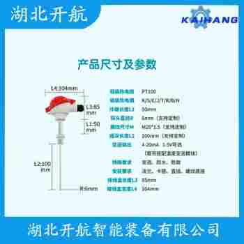 鉑銠熱電阻 WZP2-141操作流程