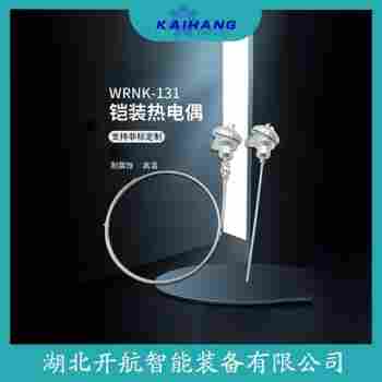 熱電偶 WRFK-231選擇要點(diǎn)