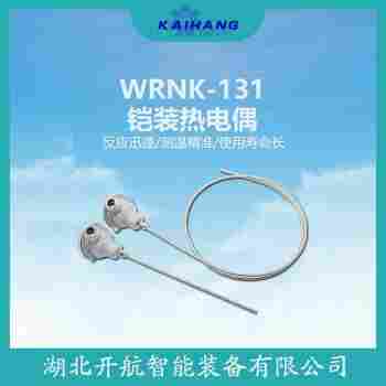熱電偶 WREK-461E維護建議
