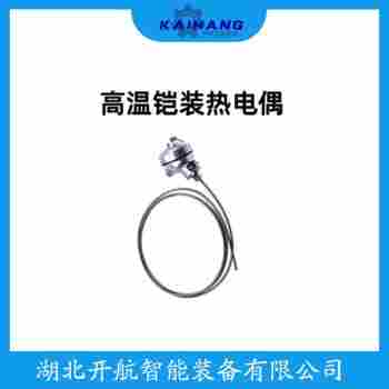 鎧裝熱電阻 WSSY-461開航