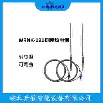 鉑銠熱電阻 WZP-230S參數規(guī)格