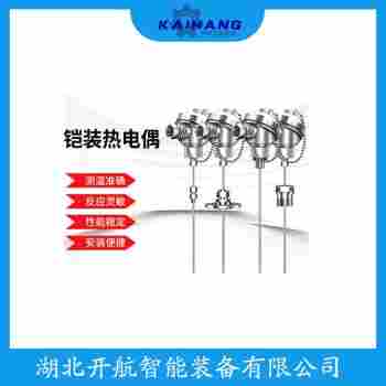 WZP-187 铠装热电阻