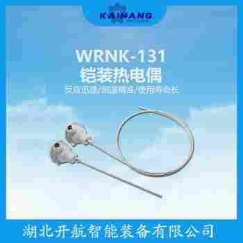 WZPK-173 鎧裝熱電阻