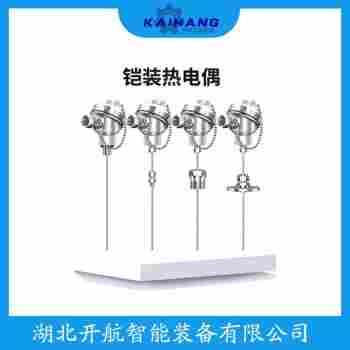 鎧裝熱電阻WZPM410 選擇要點(diǎn)