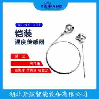 WZPK-436 鉑銠熱電阻