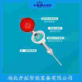 WZPK-176 铂铑热电阻