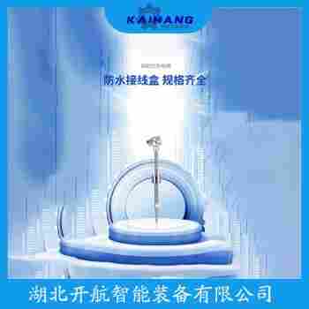 鉑銠熱電阻 WZPK2-465選擇要點