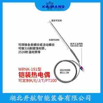 鉑銠熱電阻 WZPK2-235操作流程