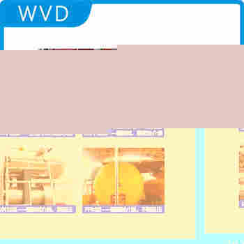 UHZ-66 頂裝磁翻柱液位計(jì) WVD