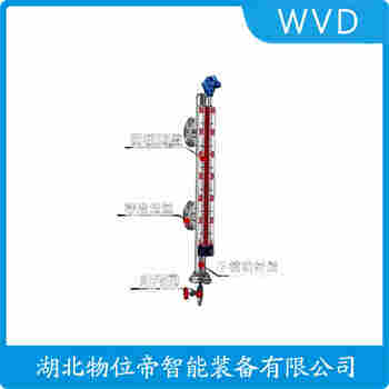 BL-AD-11 側(cè)裝磁翻板液位計(jì) WVD
