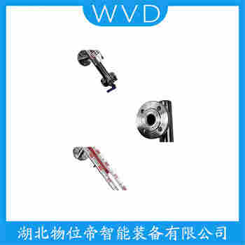 BEET-ZB-L-3-2-3 頂裝磁翻柱液位計 WVD