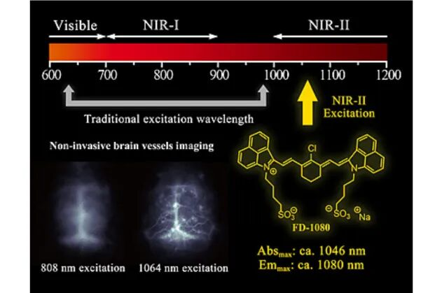熱點速遞 NIR-II發(fā)光納米材料研究進展解鎖生物醫(yī)學(xué)新應(yīng)用