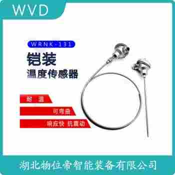 WRNN-331 鉑銠熱電偶 WVD