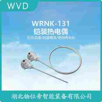 WRNK-138 鉑銠熱電偶 WVD