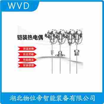 鉑銠熱電阻 WZPK-504S WVD