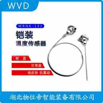 鎧裝熱電阻 WZP2 WVD