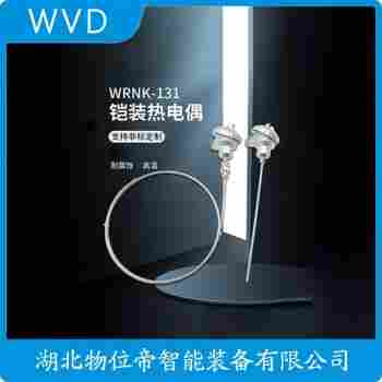 鎧裝熱電阻 WZPK2-525 WVD