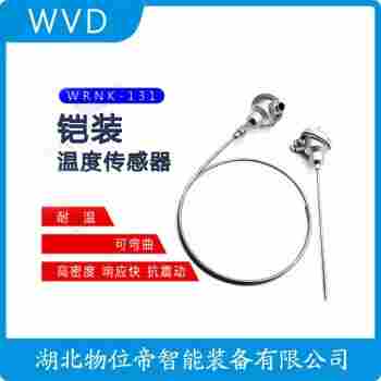 WRN-520 鎧裝熱電阻選擇要點