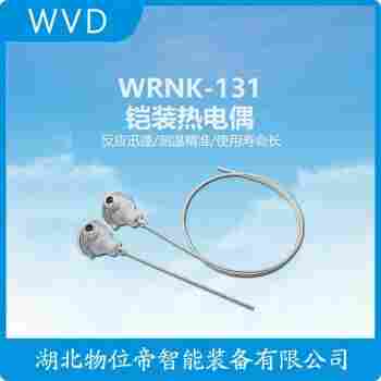 鎧裝熱電阻 E2B-M18KN16-WZ-B1 WVD